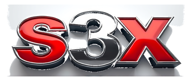 s3x logo